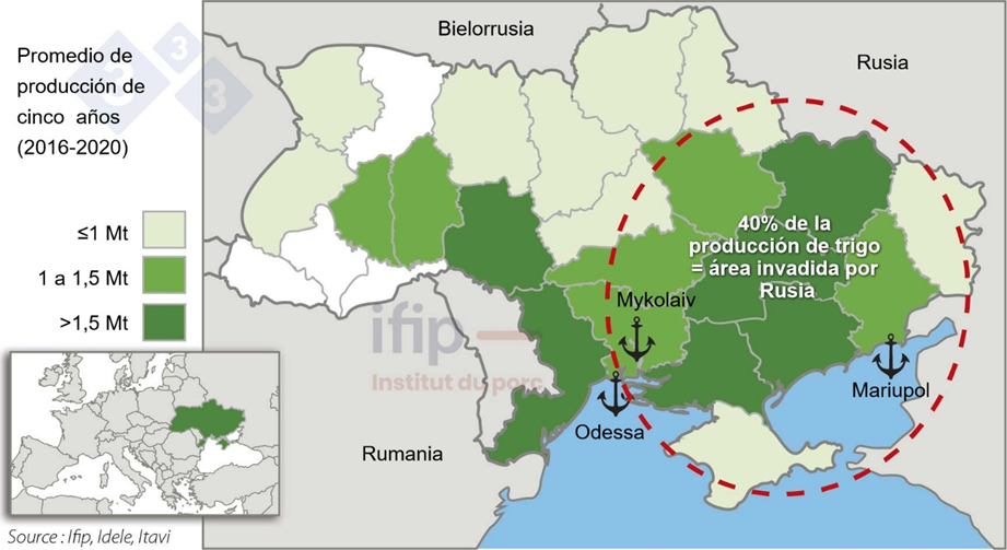 Mapa del trigo ucraniano: 40% de la producción en territorio invadido por Rusia